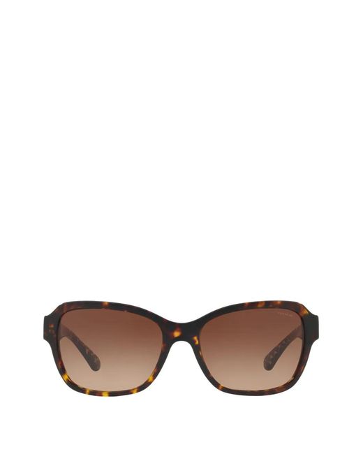 COACH Brown Hc8232 L1010