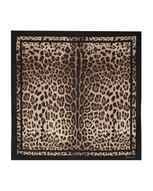 Foulard en soie à imprimé léopard Dolce & Gabbana en coloris Black