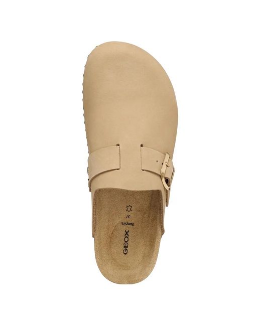 Geox Brown Buckle-Fastening Leather Slides