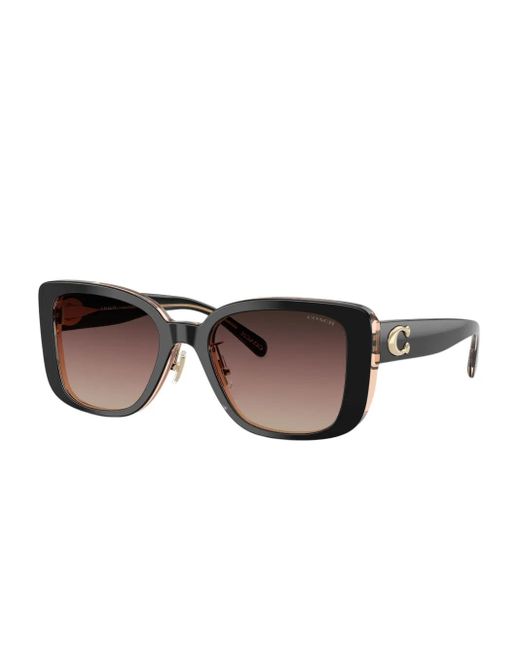 COACH Brown Oversized-Frame Sunglasses