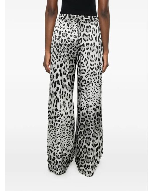 Dolce & Gabbana Multicolor Leopard-Print Straight-Leopard Pants
