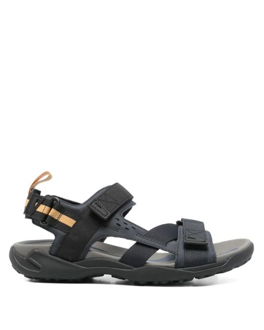 メンズ Geox Terreno サンダル Black