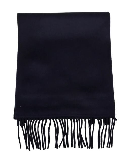 The Dynamis Studio Blue Fringed Scarf