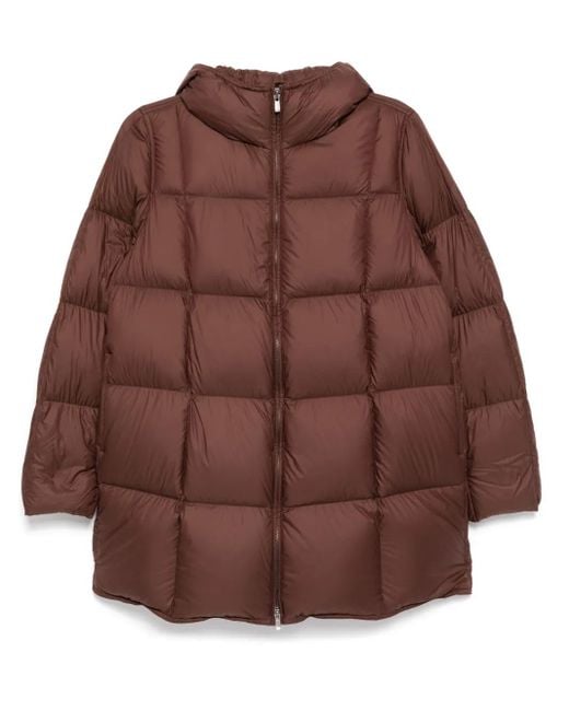 JNBY Brown Drawstring Down Jacket