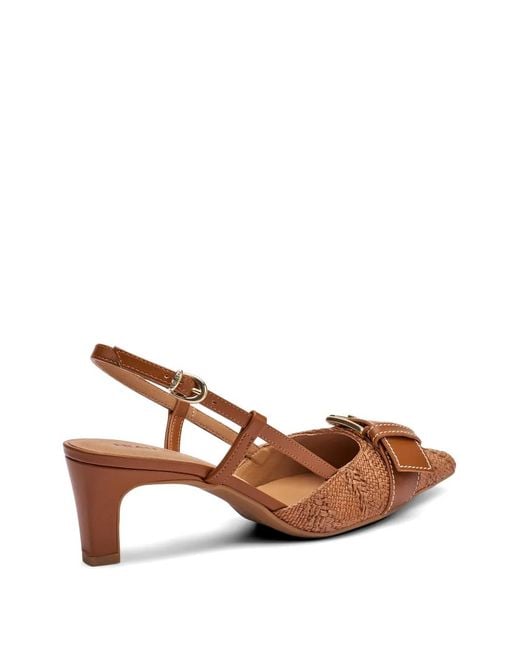 Frau Brown Slingback Buckle Pumps