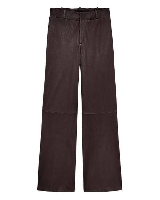 Arma Brown Belt-Loops Straight Trousers