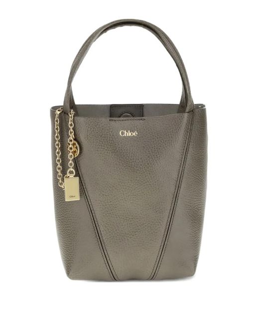 Borsa A Spalla Con Catena di Chloé in Gray