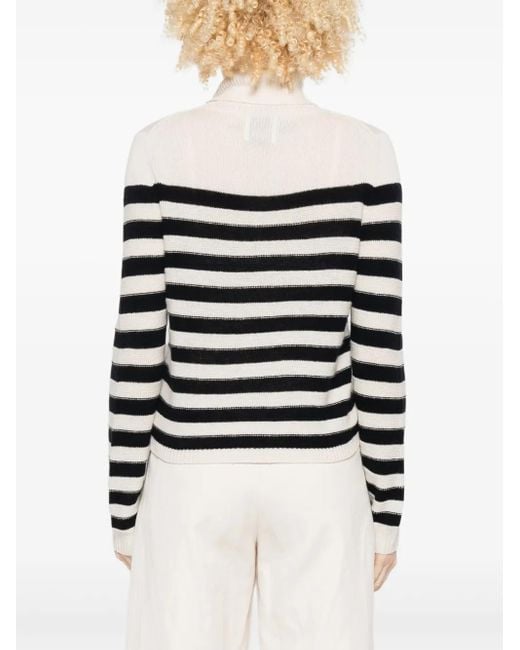 Allude ストライプ タートルネックセーター Black