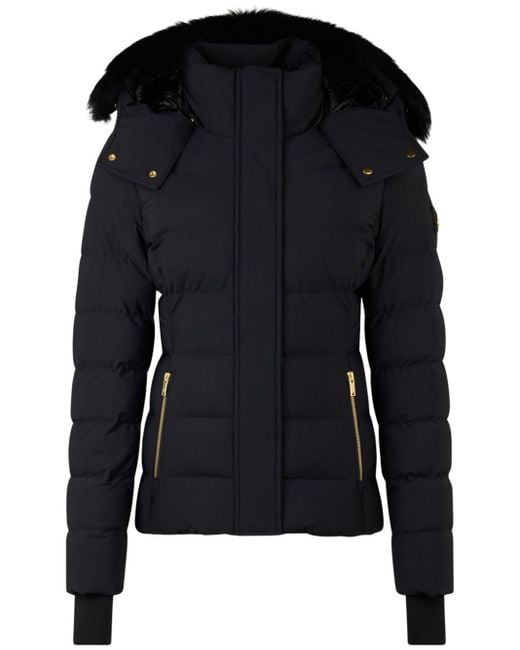 Moose Knuckles Black Shearling-Trimmed Down-Filled Hooded Jacket