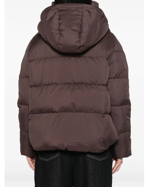 Psophia Brown Quilted Hooded Coat