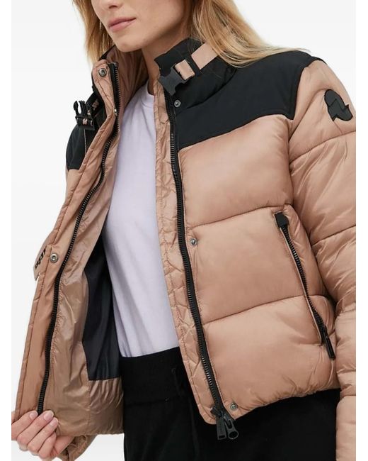 INVICTA WATCH Black Colour-Block Puffer Jacket