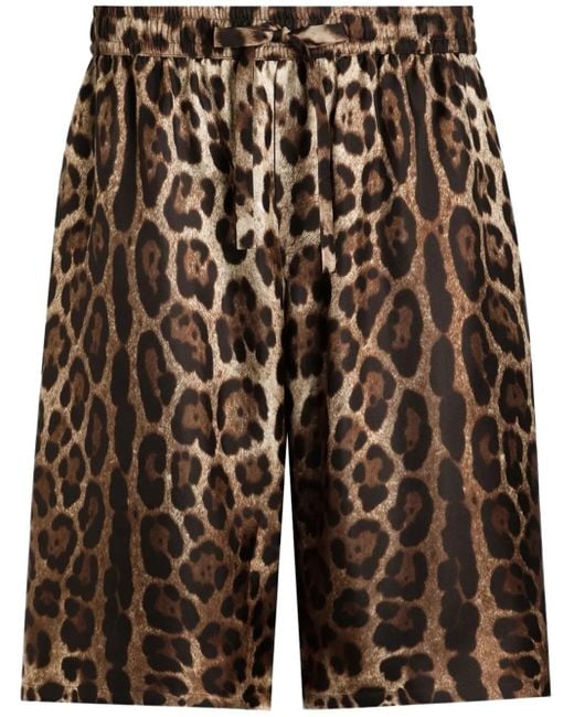 Dolce & Gabbana Brown Leopard-Print Shorts for men