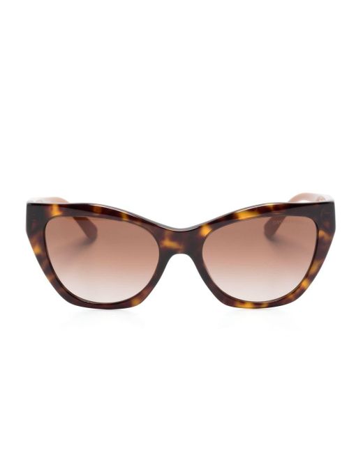 Emporio Armani Natural Butterfly-frame Sunglasses