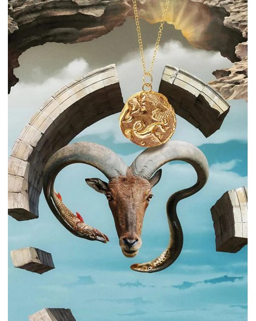 Alighieri White The Capricorn Medallion Necklace