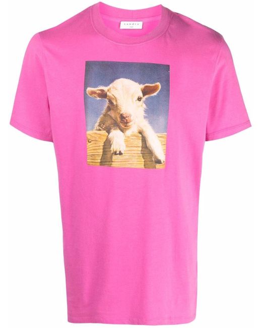 T-shirt Farm à imprimé graphique Sandro pour homme en coloris Pink