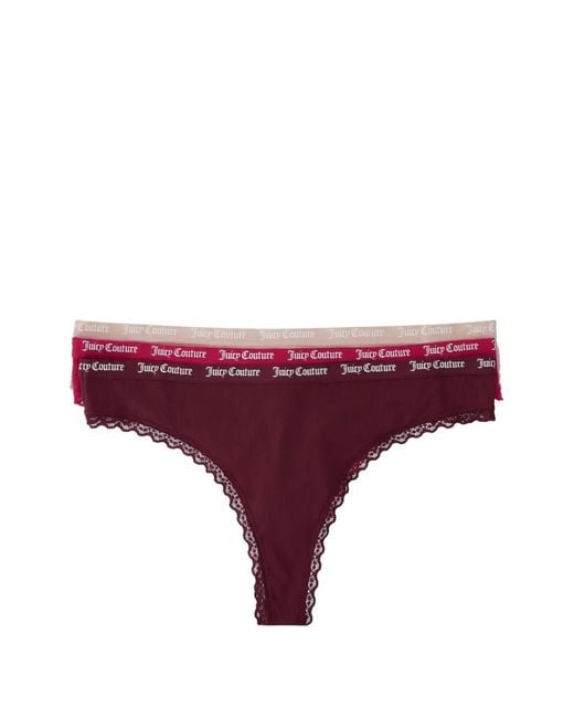 Juicy Couture Purple Ribbed Lace-Trim Brief (Set Of Three)