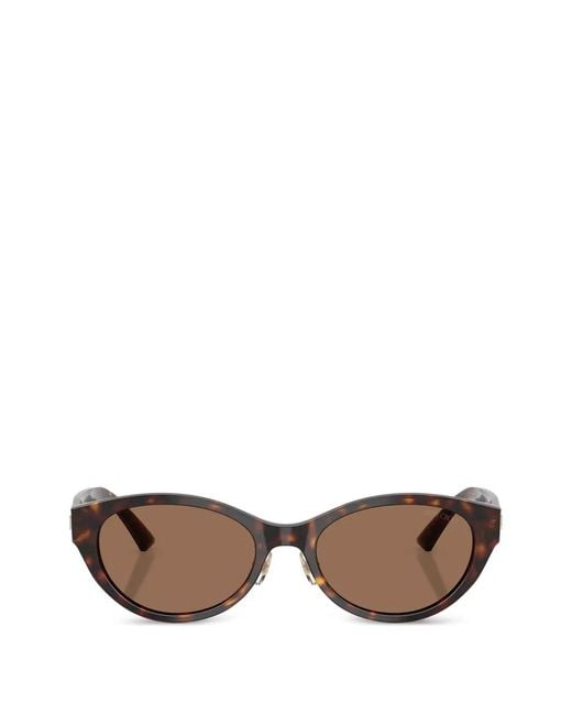Jimmy Choo Brown Jc5064D Sunglasses