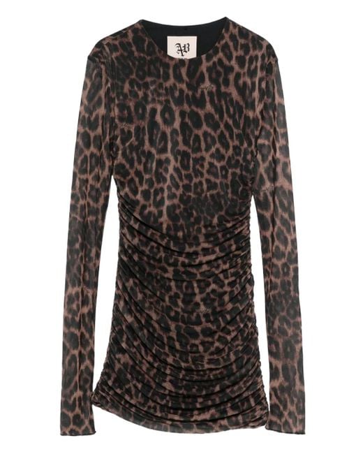 Aniye By Black Leopard-Print Mesh Mini Dress