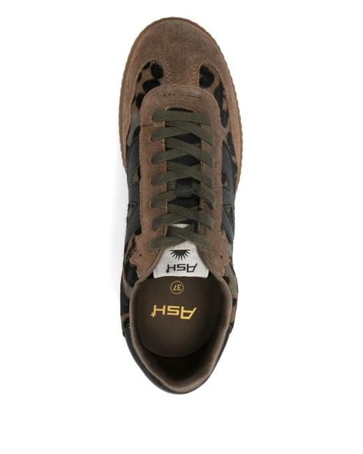 Leopard-print sneakers Ash de color Brown