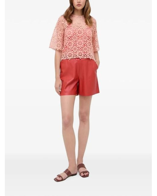 Morgan Red Lace Openwork Top