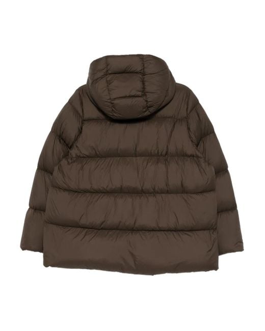 JNBY Brown A-Type Down Jacket