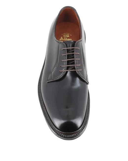 Alden Brown Horse Leather Derby Shoes for men