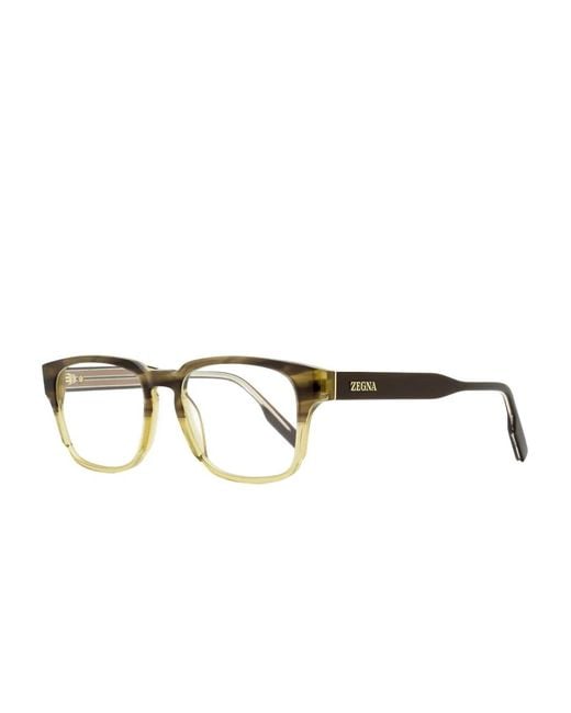 Zegna Brown 5262 Optical Frames for men