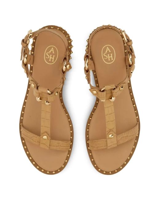 Ash Brown Patsy Bis Studded Leather Sandals