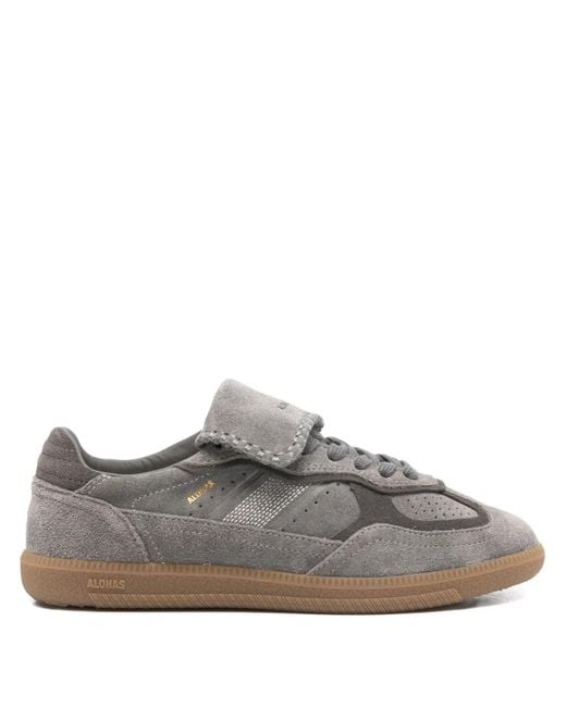 Alohas Gray Tb.490 Clube Sneakers