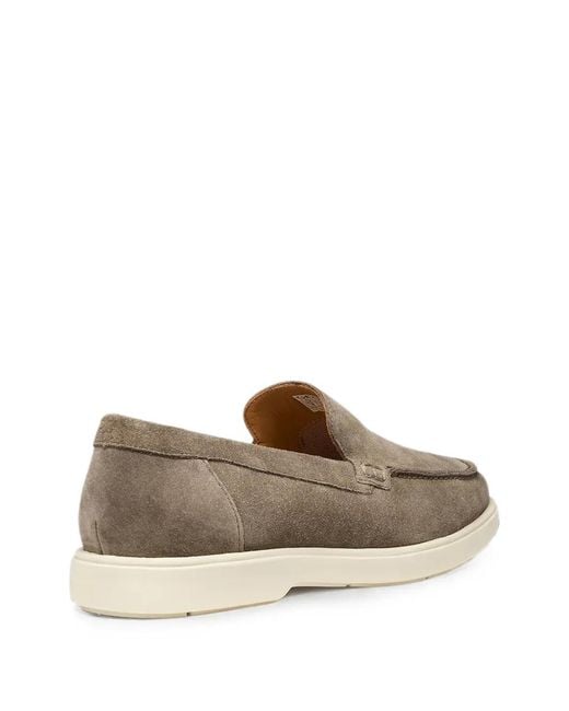 Geox Gray Spherica Ec17 Suede Loafers for men