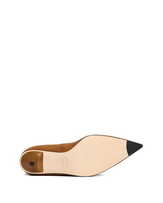 Scarosso Brown Barbara Pointed-Toe Boots