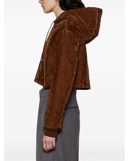 Loewe Brown Cropped Hooded Jacket
