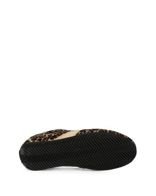Philippe Model Brown Sneakers