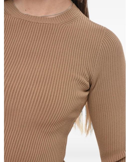 Max Mara Brown Ribbed Fabric Crop Top Arcella