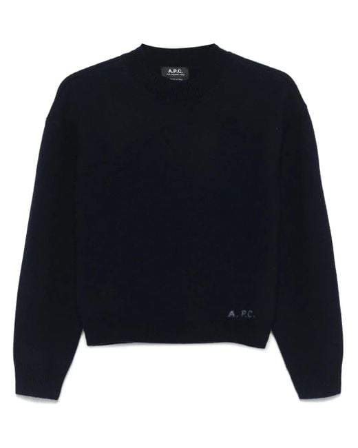 A.P.C. Esther Trui in het Blue