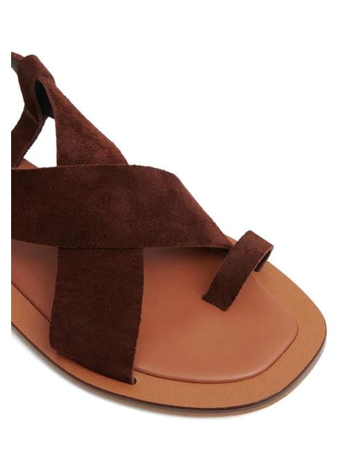Mansur Gavriel Brown Suede Flat Sandals