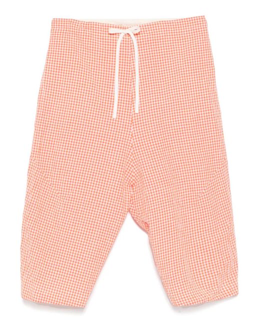 Forme D'expression Vlakken Met Gingham-Ruit in het Pink