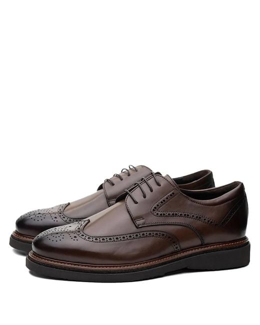Poche Paris Brown Cipele Brogues Shoes for men