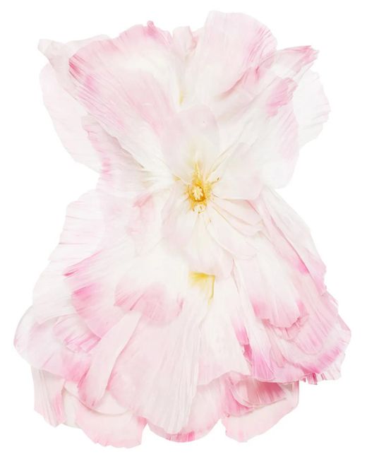 Oscar de la Renta Pink Petal-Appliqué Organza Minidress