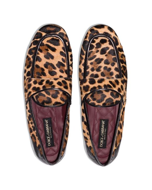 Mocasines con motivo de leopardo Erice Dolce & Gabbana de hombre de color Brown