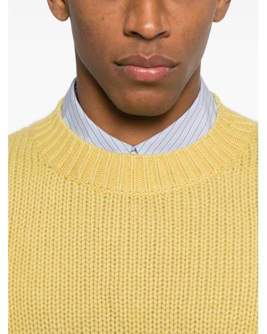 LeKasha Yellow Ribbed Sweater