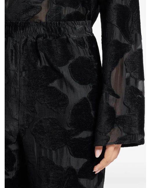 Loulou de Saison Black Velvet Pants Clothing