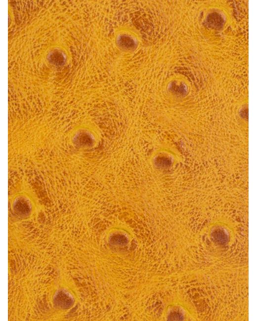 Roberto Cavalli ファスナー財布 Orange