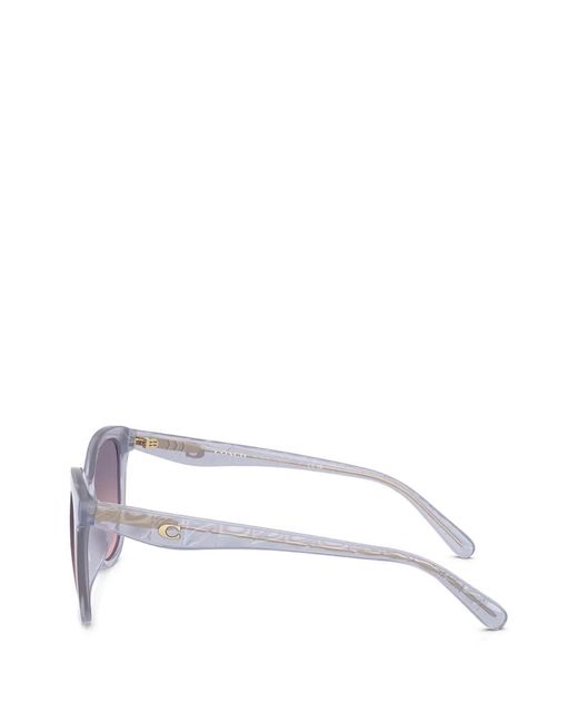COACH Purple Gradient Cat-Eye Sunglasses