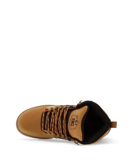 DC Shoes Brown Pure Panelled Sneakers