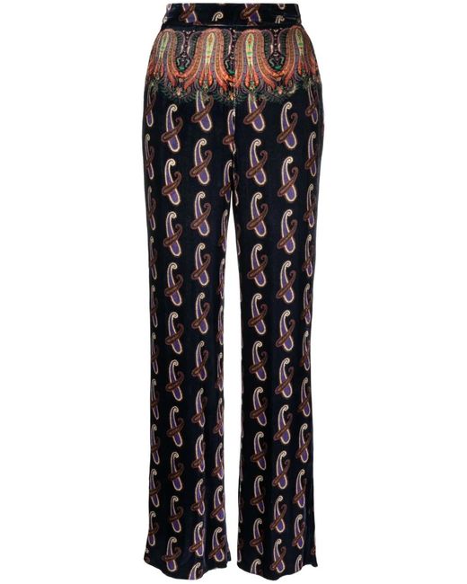 Etro Fluwelen Broek in het Multicolor