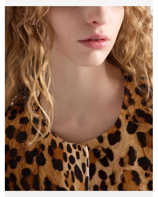 Prada Brown Leo Printed Coat