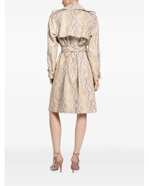 Elie Saab Natural Python-Print Double-Breasted Coat