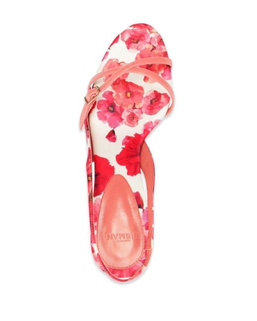 Sandales Maia 60 Alexandre Birman en coloris Pink