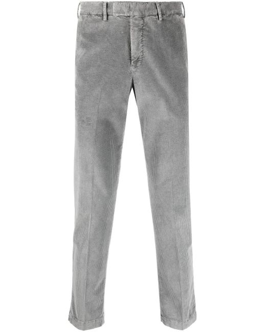 PT Torino Gray Corduroy Straight-Leg Trousers for men